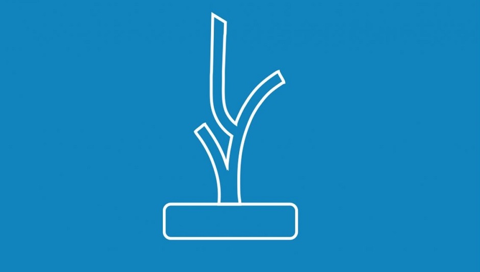 Premio Coral