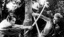 Rashomon